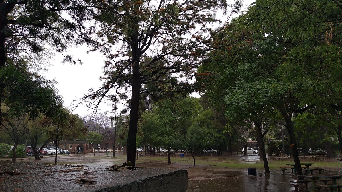 PablexN's tweet photo. "Del calor al diluvio, esto no es para más"

Señora, todo bien por casa? https://t.co/arNpSzudcz