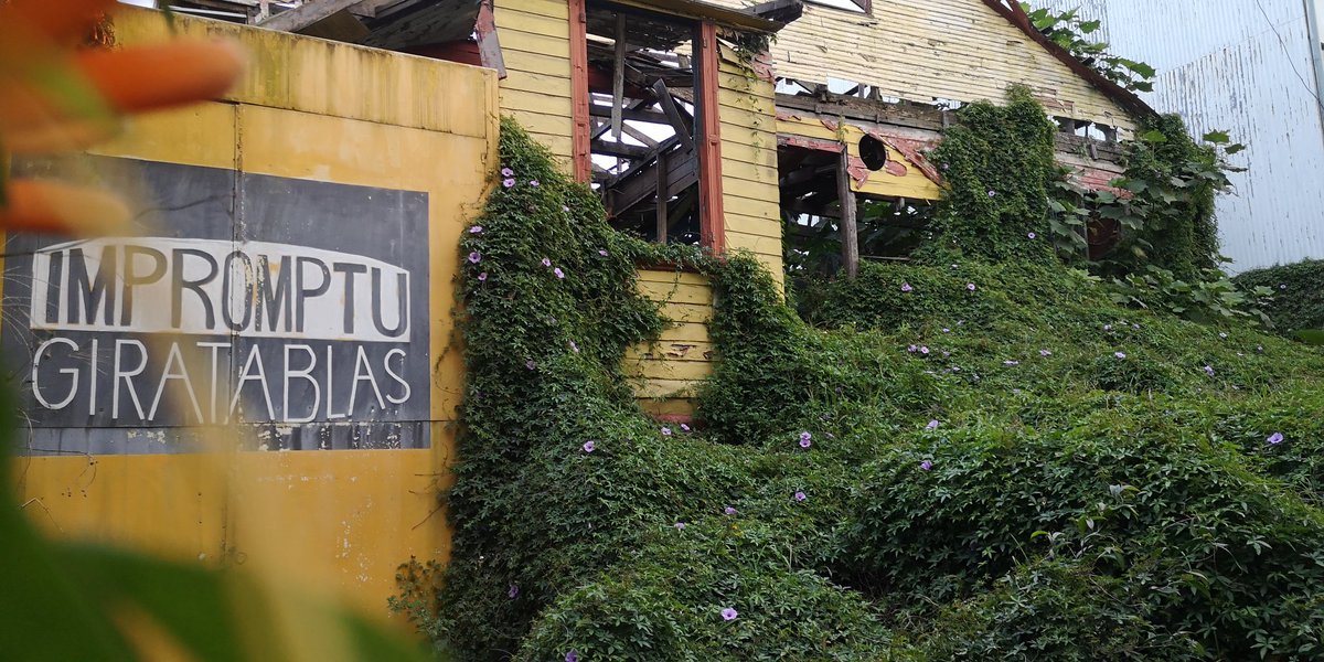 pardingo's tweet photo. El antiguo Teatro Giratablas (la California) oficialmente ha sido tomado por la naturaleza. https://t.co/zE8Uvyix9g