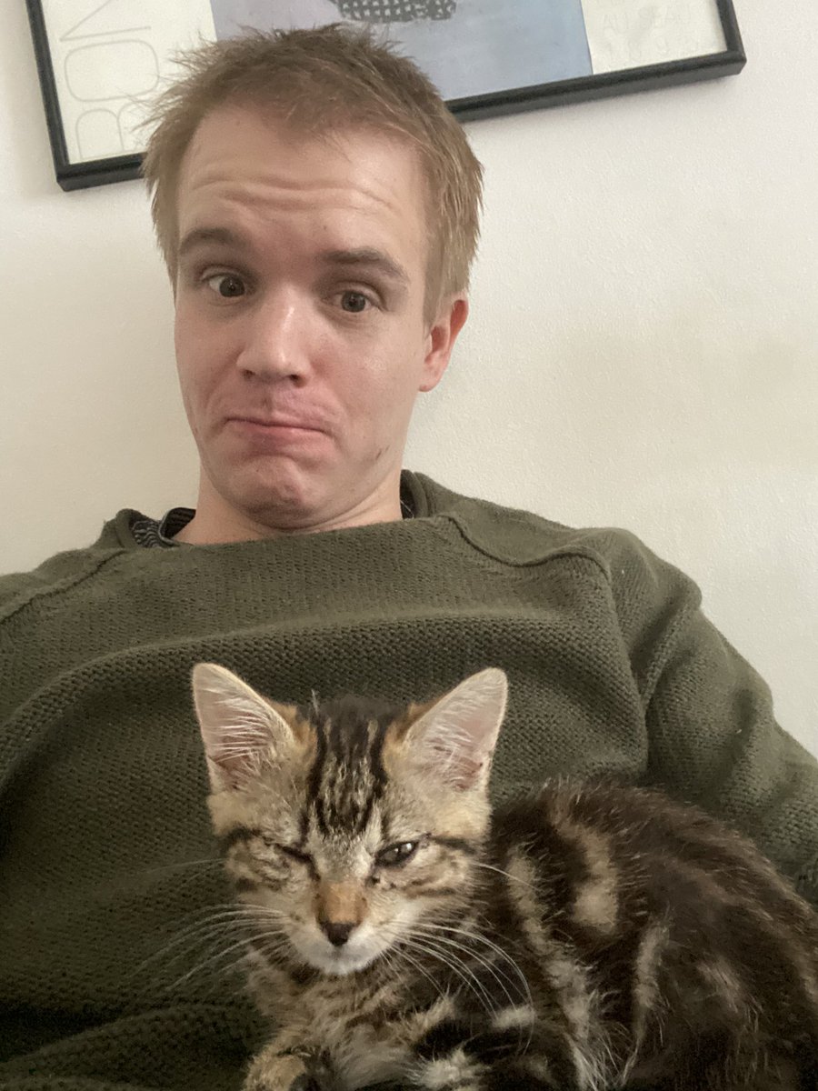 LilMeAndMyCat's tweet photo. A little nervous before first visit to vet, but Mischa is purring away on like a champ! #CatsOfTwitter #teamcats #fingerscrossed https://t.co/IB45xVReUO