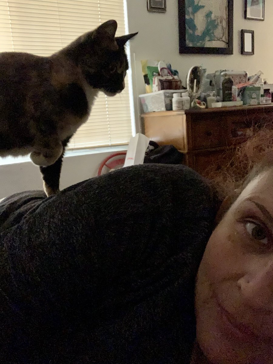 coedith75's tweet photo. @thekittenwinksy I think so! https://t.co/rAO4f1o5Vg