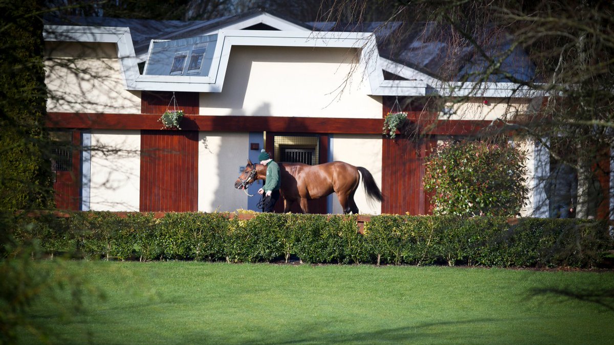 rpbloodstock's tweet photo. 🇮🇪 Irish National Stud announces 2022 class for breeding management course 👉 https://t.co/yauk73e8fW https://t.co/Fu8N7L7cMt