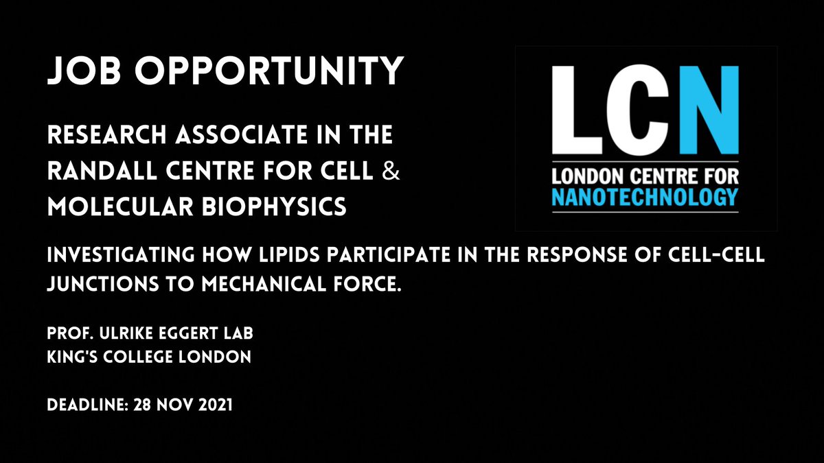 LondonNanotech's tweet photo. 🚨Job Alert in Ulrike Eggert's lab The Randall @KingsCollegeLon
More info and to apply: https://t.co/EShhRtmm3L
#biophysics #nanotechnology #mechanicalforce #biology #lifeatkings https://t.co/SZbtCmUQJH
