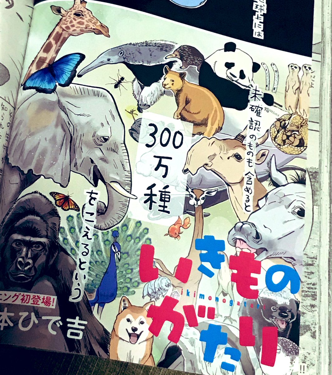 松本ひで吉さんの新連載「いきものがたり」読みたさにイブニング購入。
新連載、めちゃくちゃ面白くてためになって超かわいいのでオススメです!
絵はめちゃかわなのに内容がハードで痺れます。