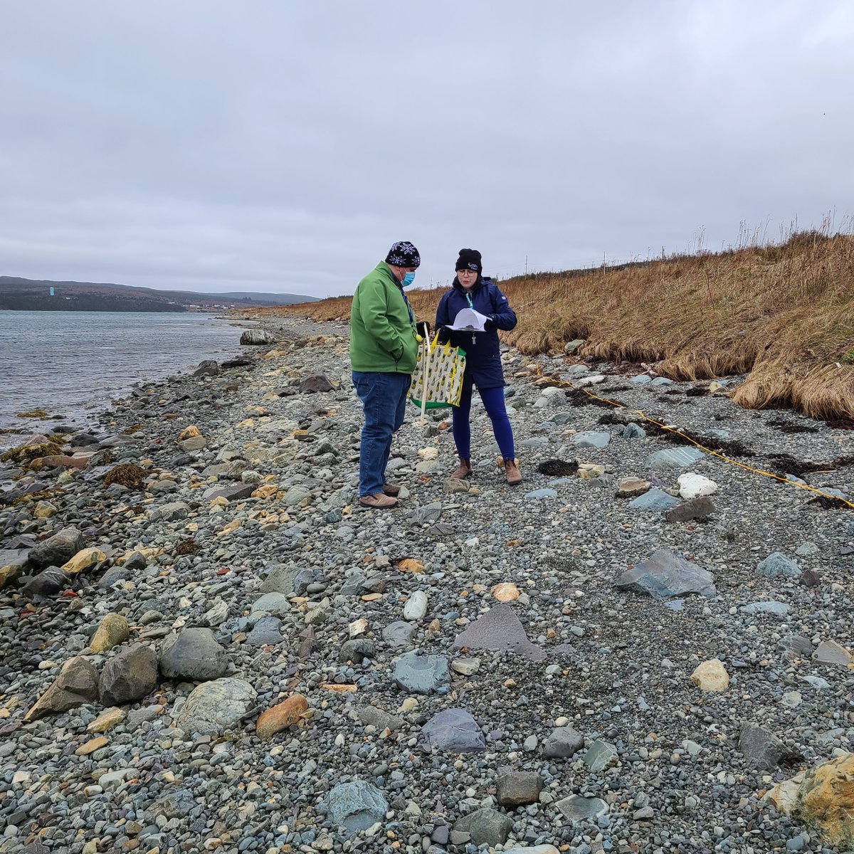 coastalXnl's tweet photo. @msabbottsma has been active this Fall taking her students out for seaweed pressing, #coastalmonitoring, and even training other teachers to share the #wearecoastal experience. Thanks @NLESDCA and @ParksCanadaNL for helping train teachers in #experientiallearning and #OceanSTEM. https://t.co/weSVpy7NMi