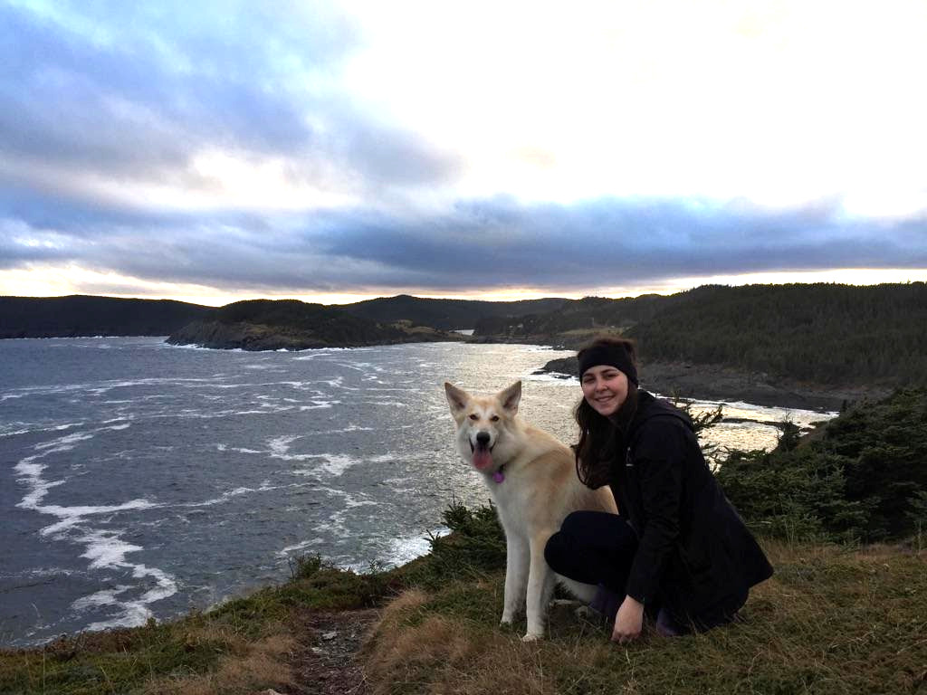coastalXnl's tweet photo. @msabbottsma has been active this Fall taking her students out for seaweed pressing, #coastalmonitoring, and even training other teachers to share the #wearecoastal experience. Thanks @NLESDCA and @ParksCanadaNL for helping train teachers in #experientiallearning and #OceanSTEM. https://t.co/weSVpy7NMi