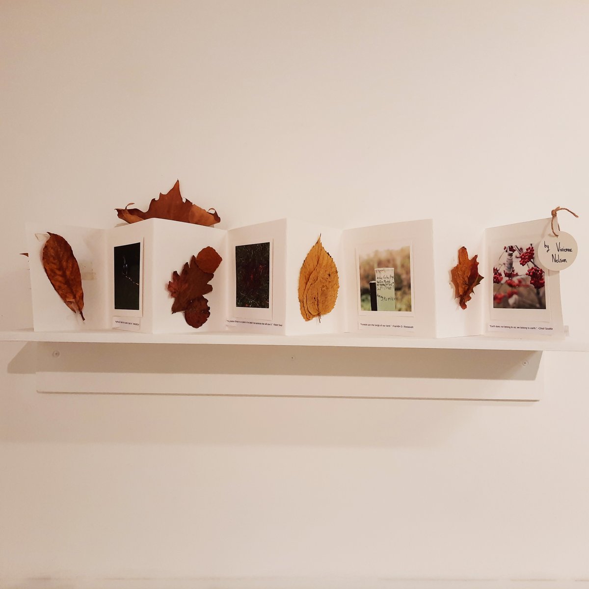 Dick_Institute's tweet photo. Image: 'Wildlife Journey' concertina book by Vivienne Nelson featuring quote:
'The future of humanity and indeed life on earth depends on us', David Attenborough
#COP26 #LeafUsAlone #Seedscapes #NoPlanetB #SirDavidAttenborough https://t.co/oEeVfRPBlr