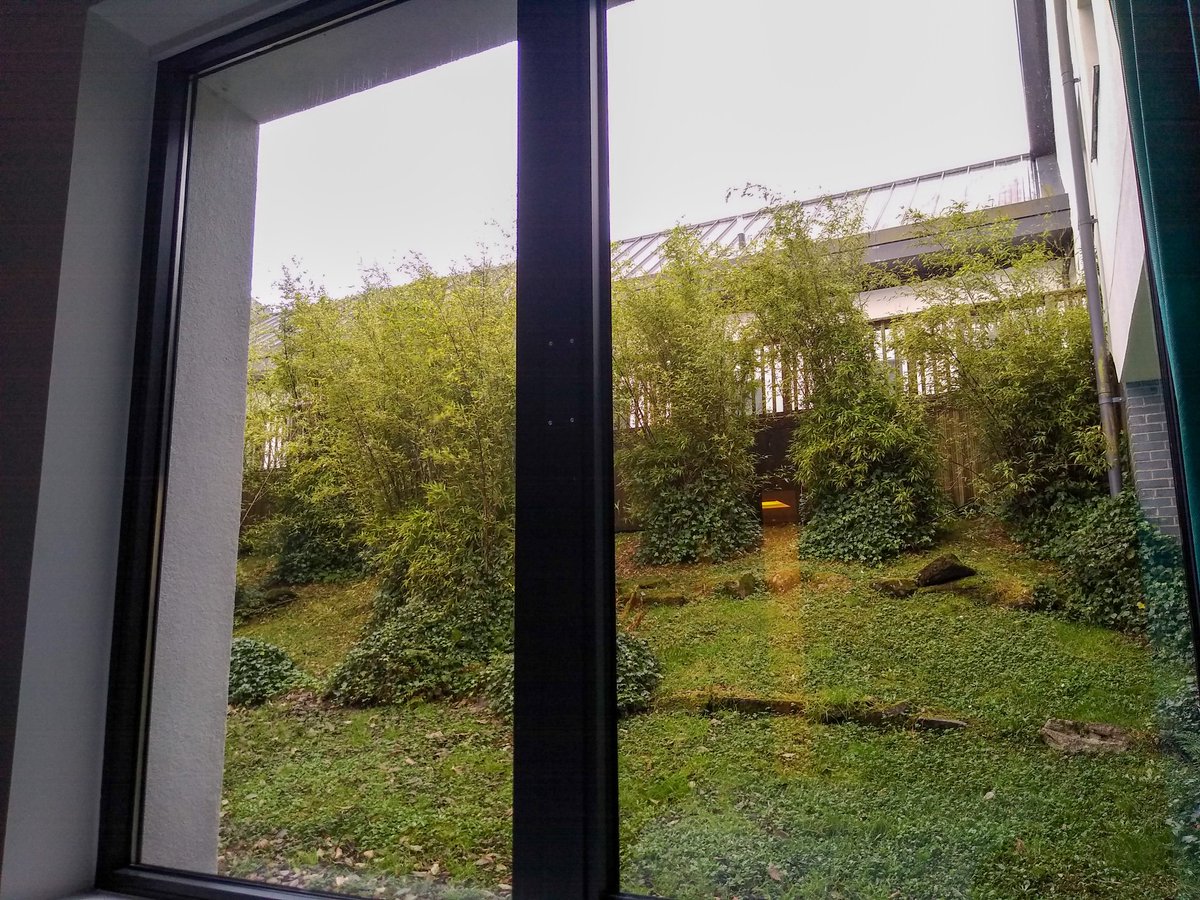 Nick Ray tweet media