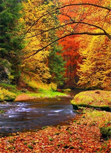 VieNatureSavoir's tweet photo. Beautiful #Nature 💛💚🧡
#NaturePhotography #beauty https://t.co/lr3jXLtVRX
