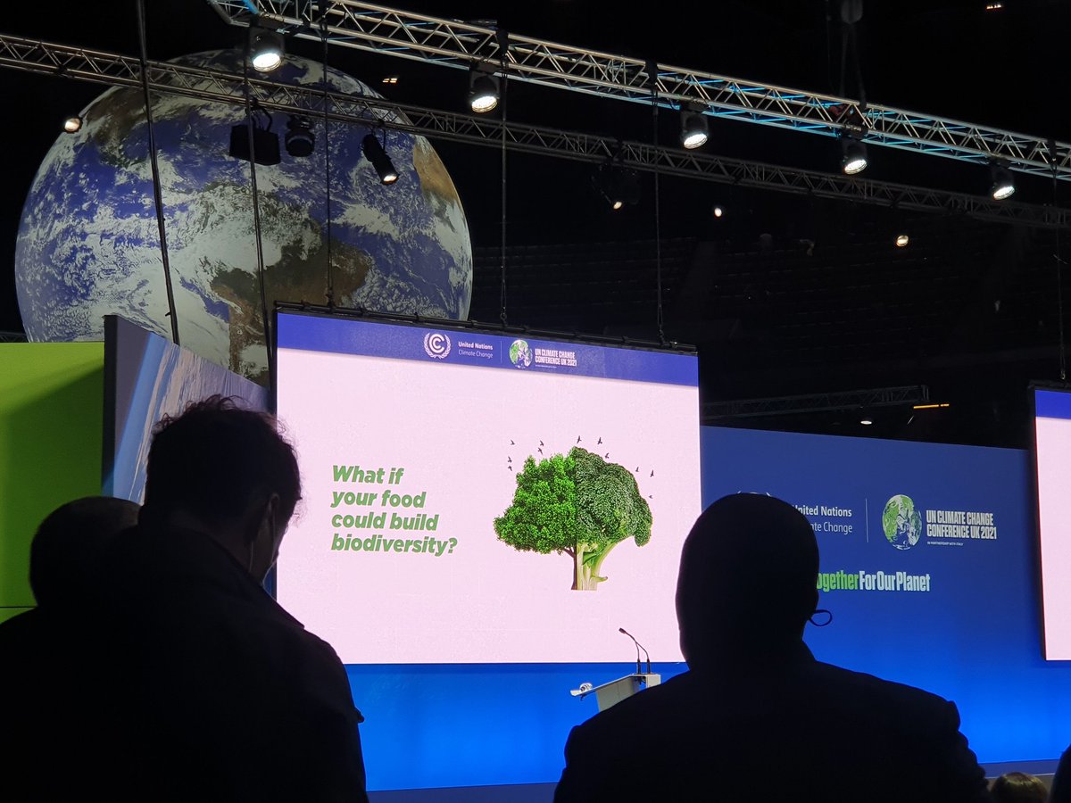 CelesteKellock's tweet image. Food is always a glorious topic, and made even better by @circulareconomy ! Incredible to think of the future of our food system, a #circularmodel definitely has my vote. 
Can food be upcycled? Can we use all parts of a plant? (YES x2) #circularfooddesign @COP26 #MASTSatCOP26