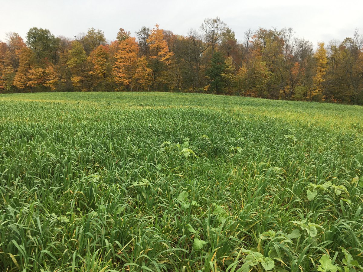 Huron Soil and Crop tweet media