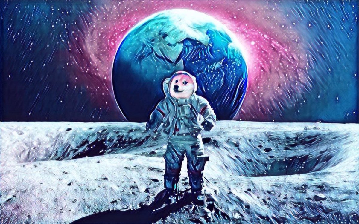 _SpaceXDoge's tweet photo. Buy now and travel to the moon with Elon Musk! You will never see prices like these! #SPACEXD 🚀🚀

#dogelonmars #SHIB $SHIB $ELON $FLOKI #floki #100x #1000x #BSCGems #BSCGem $doge #dogelon #dogecoin https://t.co/wWZAlHhJYu