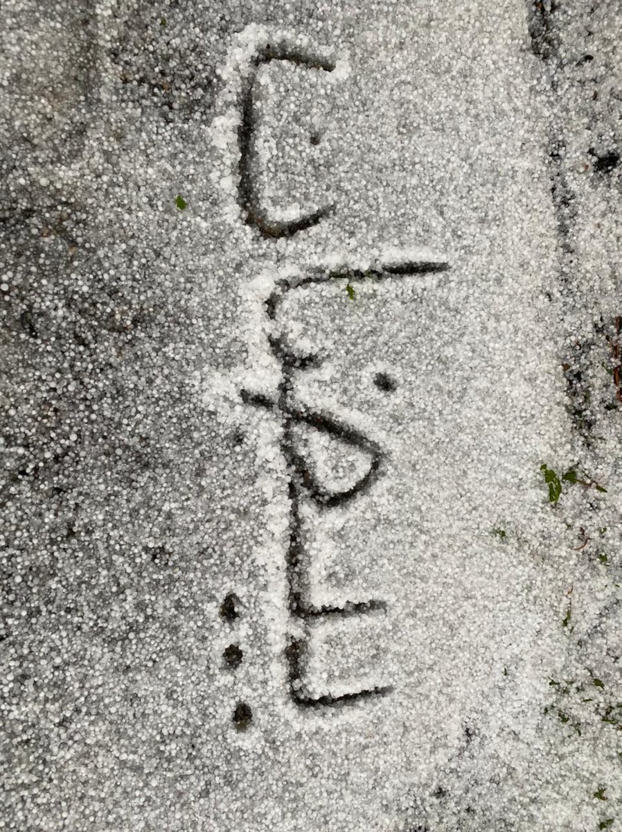 قبيلة بيضان (زهران) tweet media