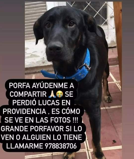 SE BUSCA A LUCAS <a href="/botaspuesta/">Paula BotasPuestas</a>