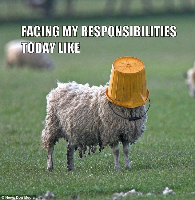 yarnitanddash's tweet photo. Yarn it November Newsletter - https://t.co/xC9PNjvRLU https://t.co/LLj9PSSttG