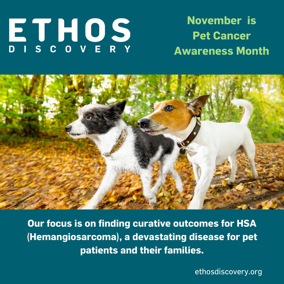 Ethos Discovery tweet media