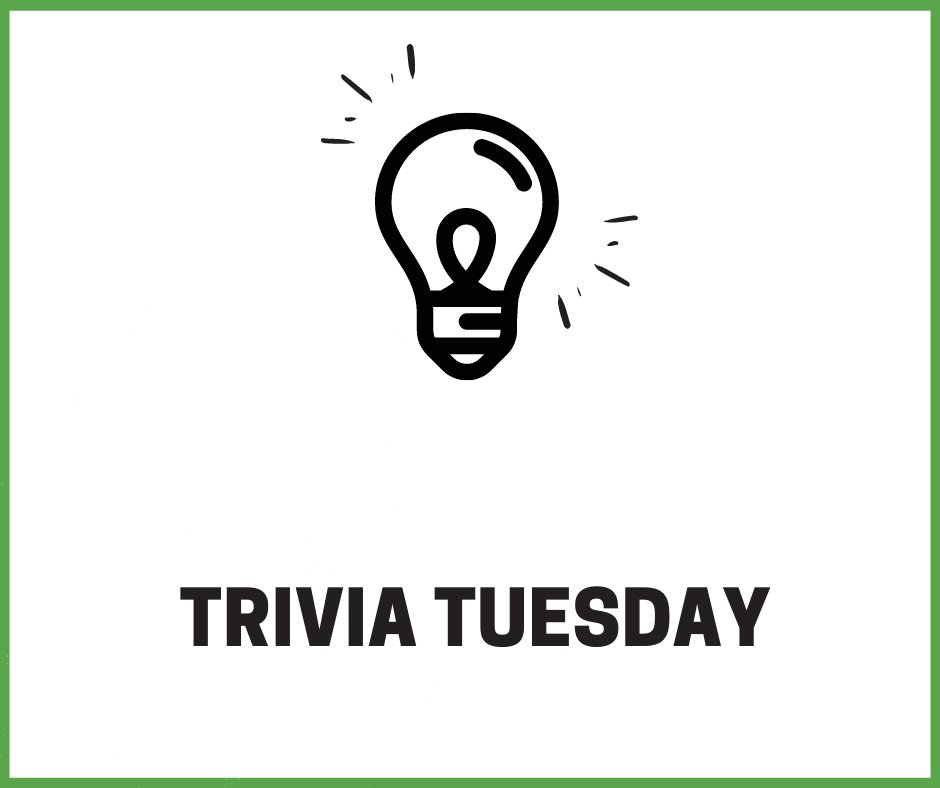 SportsCentrePEI's tweet photo. How many bones are in the human foot?
a. 15
b. 21
c. 26
d. 32
#sportscentrephysio #triviatuesday #anatomyquestion #notyouraveragetrivia #trivialove #quiztime #triviatuesdays #physiotherapy #physio #rehab #fitness #health #exercise #pain #wellness #healthiswealth https://t.co/TkOX7Ej5Im
