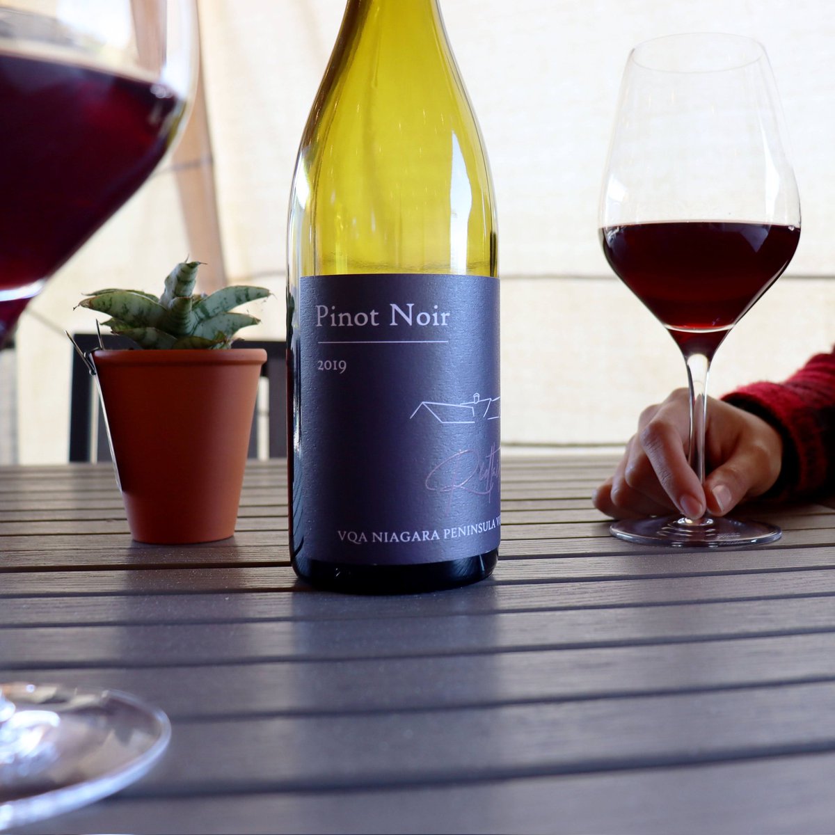 RedtailPEC's tweet image. Come enjoy a glass of our new 2019 Pinot Noir on our partially enclosed patio or around the fire 🔥 

➡️ Open 7 days a week 11am-5pm

➡️ Free local delivery from redtailvineyards.com