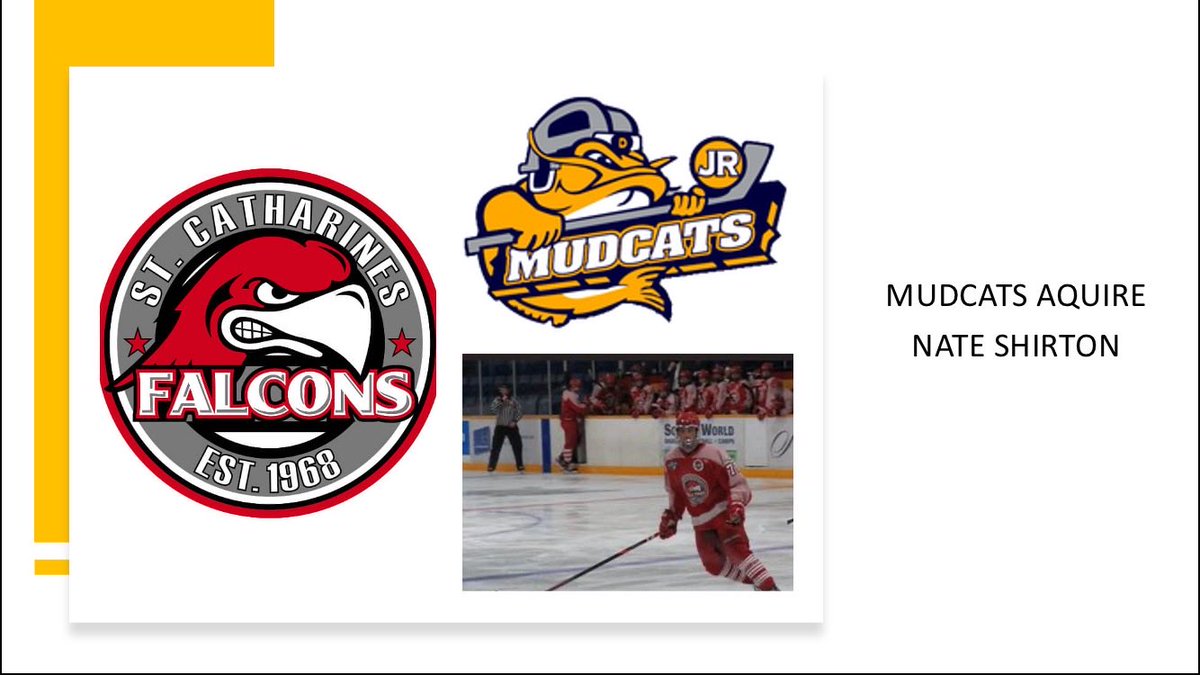 Dunnville Jr Mudcats tweet media