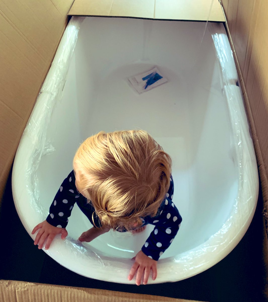 BybeeBito's tweet photo. New tub arrived early! Look at our 19-month-old checking it out!! https://t.co/teHhJHYgrU