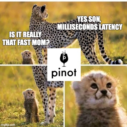 You asked, so @nehapawar18 and @ChinmaySoman answered! What makes @ApachePinot fast? Check out the first two chapters in our latest blog series to learn how we redefined the word 'fast' with Pinot. hubs.la/H0-SCQn0