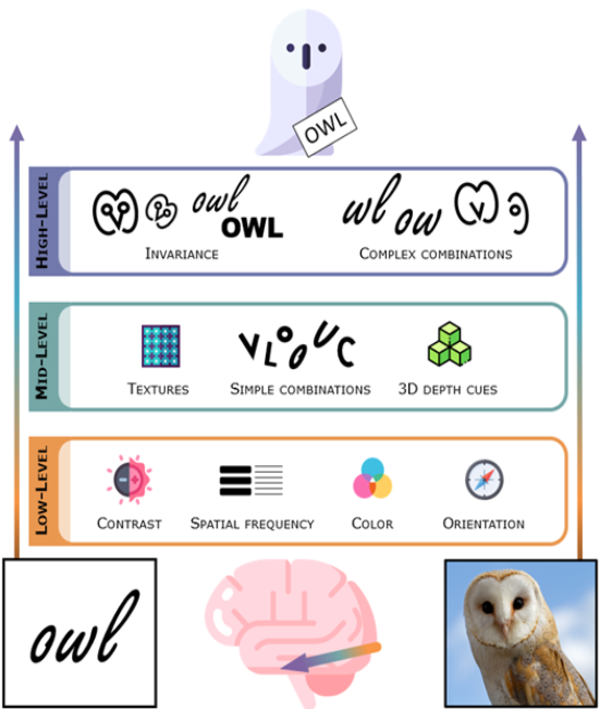 Icelandic Vision Lab tweet media