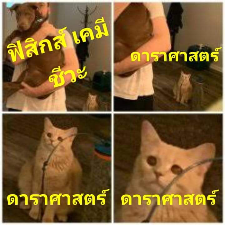 Malisa_Vtuber's tweet photo. #maymeme https://t.co/LQdvZUSrJH