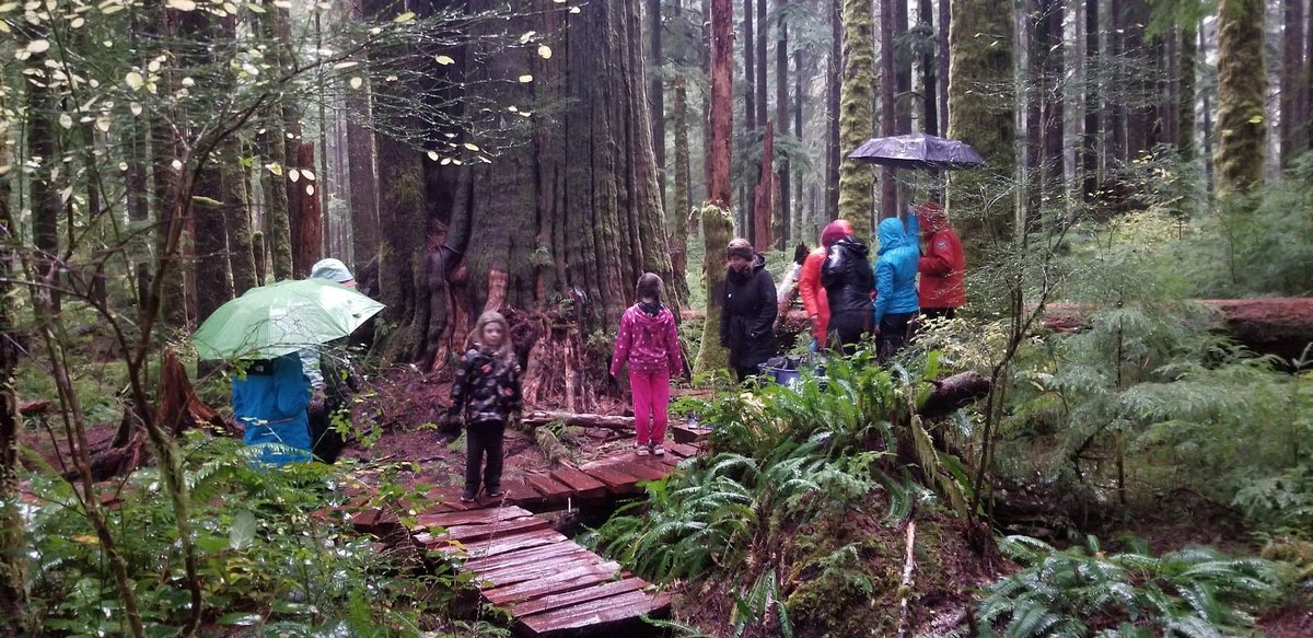 Thank you to everyone that attended Family Day at Ada'itsx / Fairy Creek.  It was so heartwarming to see the children, parents and elders in a rainy circle, listening to Bill Jones' teachings, and getting out to the old growth in Eden Grove! #yyj #fairycreek #oldgrowth