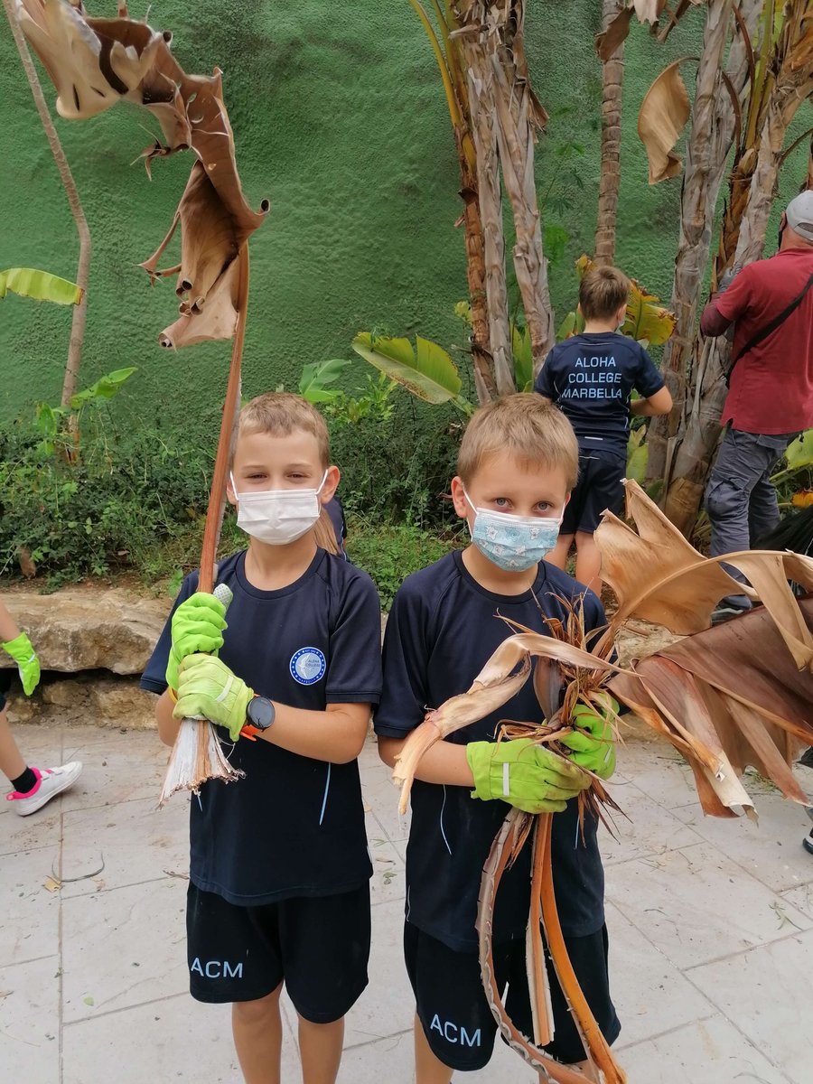 alohacollege's tweet photo. Miss Freemanβs #gardening clubπ©π»βπΎπ¨π»βπΎ has enjoyed exploring the diverse plants we have on our school grounds β They helped the #gardener with weeding, clearing leaves and planting seeds. Hopefully they will grow flowers in the recycled containers soon! π»πΌ #alohacollege #ecoschool https://t.co/ku8RzKSgmx