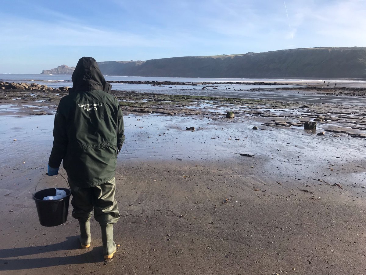 EnvAgencyYNE's tweet photo. Our investigation into the deaths of thousands of crabs and lobsters along the #NorthEast coast continues 

We’ve collected further samples from local beaches, which will be analysed by ⁦@EnvAgency⁩ and ⁦@CefasGovUK⁩ laboratories for traces of pollution &amp; disease https://t.co/wKGtc8LPZT