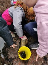 LeaveNoTraceIrl's tweet photo. Happy children headed to Old Head Beach to experience the @explorersedu. The children from Ballyheane Schoo in Mayo learned about the variety & characteristics of living things and processes of life typically found on the seashore.
#oldheadbeach #leavenotrace #explorerseducation https://t.co/jGmi5hjwId