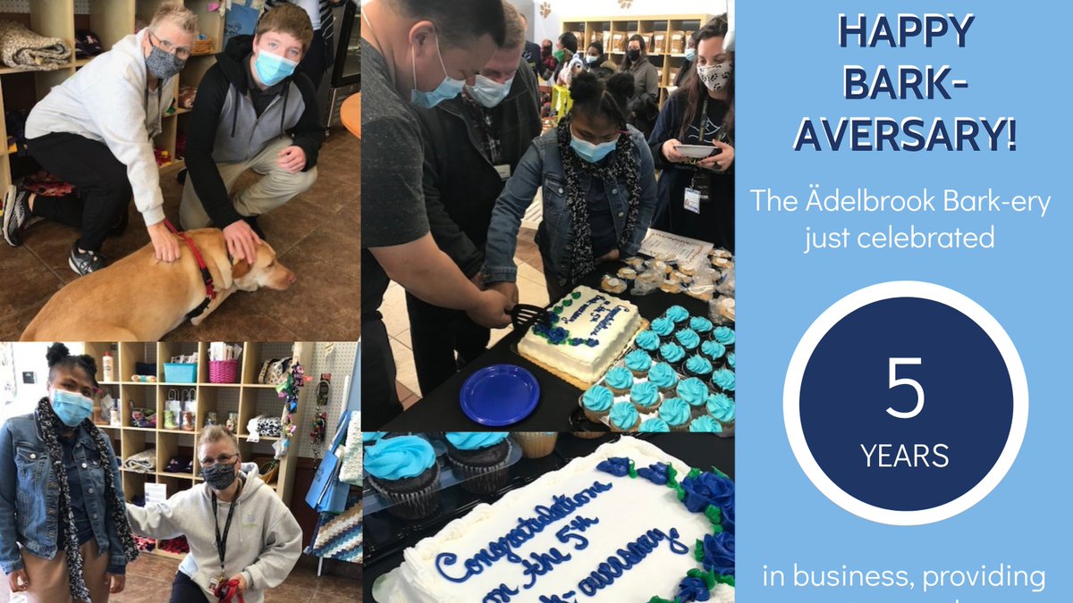 Adelbrook_CT's tweet photo. The Ädelbrook Bark-ery just celebrated their 5th Bark-aversary! Congratulations! #AdelbrookBarkery #AnniversariesAtAdelbrook https://t.co/QP1Bp3lApj