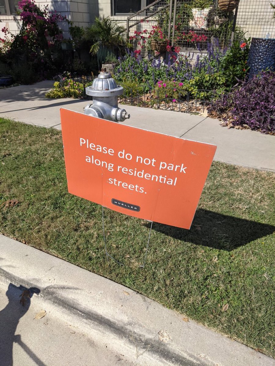 muellerduck's tweet photo. This is totally normal and very urban and happens everywhere. #muellerlife https://t.co/K5sFXPJObo