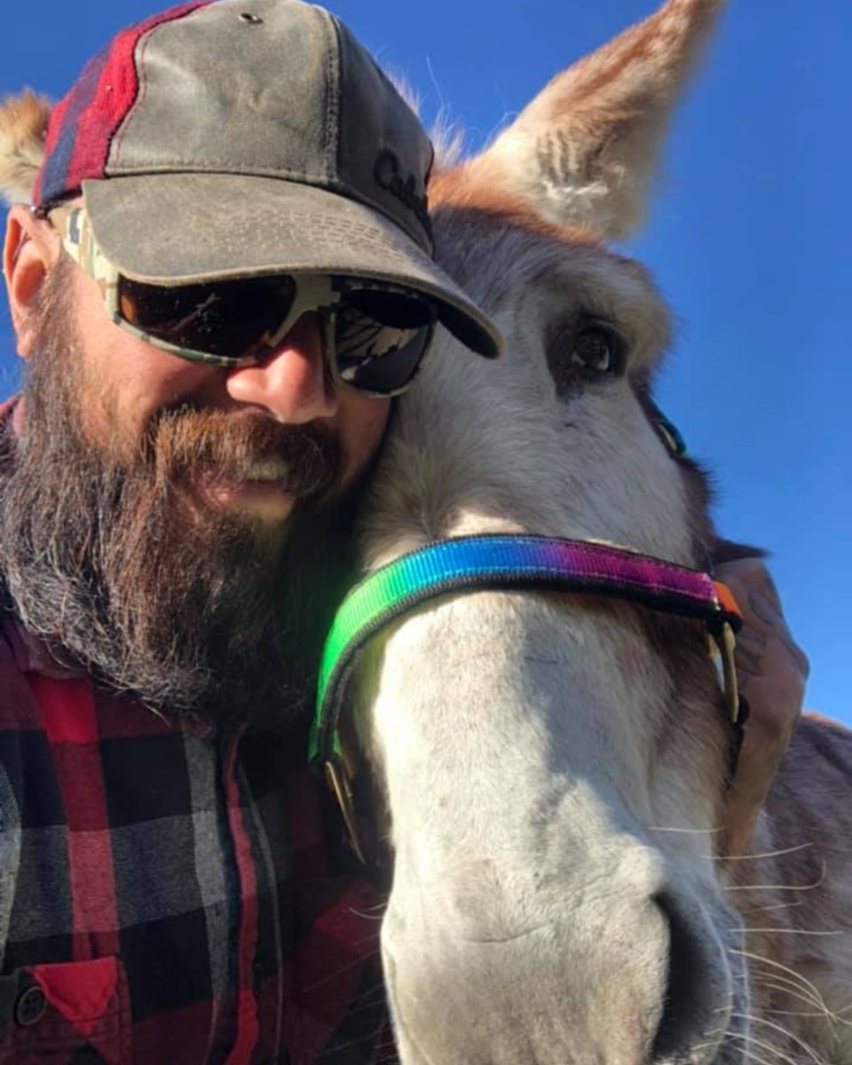 petsalive's tweet photo. Lola ADOPTED!!!! #adopted #barnbuddy #donkey https://t.co/o2dFe2Dyvk