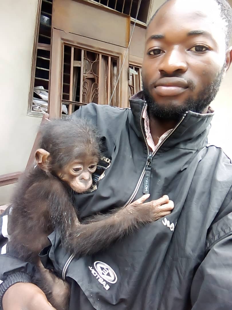 Lola_ya_Bonobo's tweet photo. We are deeply saddened to say the little bonobo in Lodja died. Her name was Osanga. We console ourselves with the knowledge that she did not die alone and neglected, but in the loving arms of people who did all they could to save her. #bonobos #EndWildlifeTrafficking #Congo https://t.co/Sx2ErAQArM