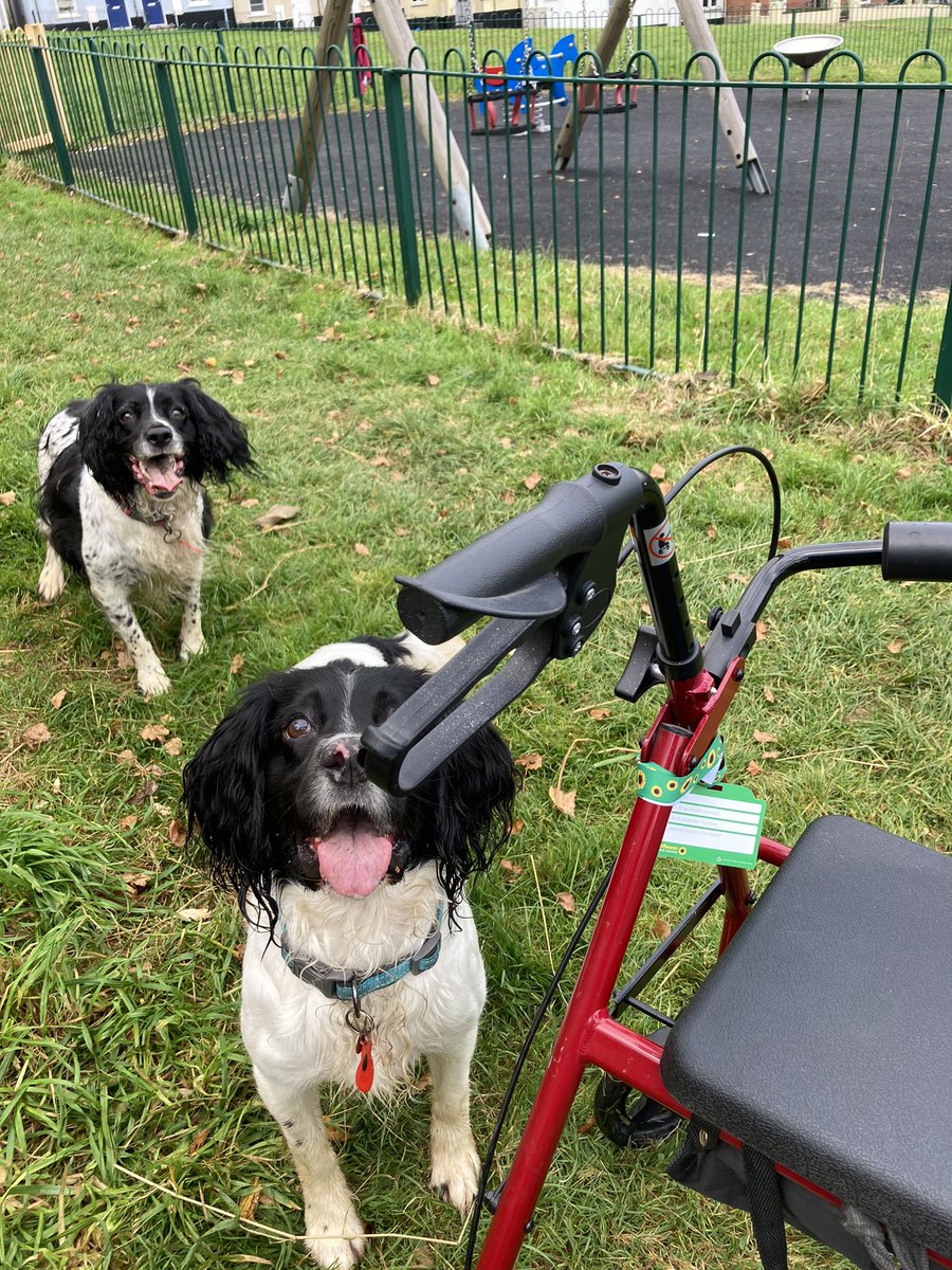 nickymitchell13's tweet photo. I needed some fresh air today - I have builders in and it’s setting my #FND off, so an interesting walk to the park with my walker, if you’ve got #springers you’ll know how hard that was 🤣 & prob a bit silly! #FNDHopeUk #fndfrieNDS #FNDAwareness #functionalneurologicaldisorder https://t.co/i3GZVAfw0F