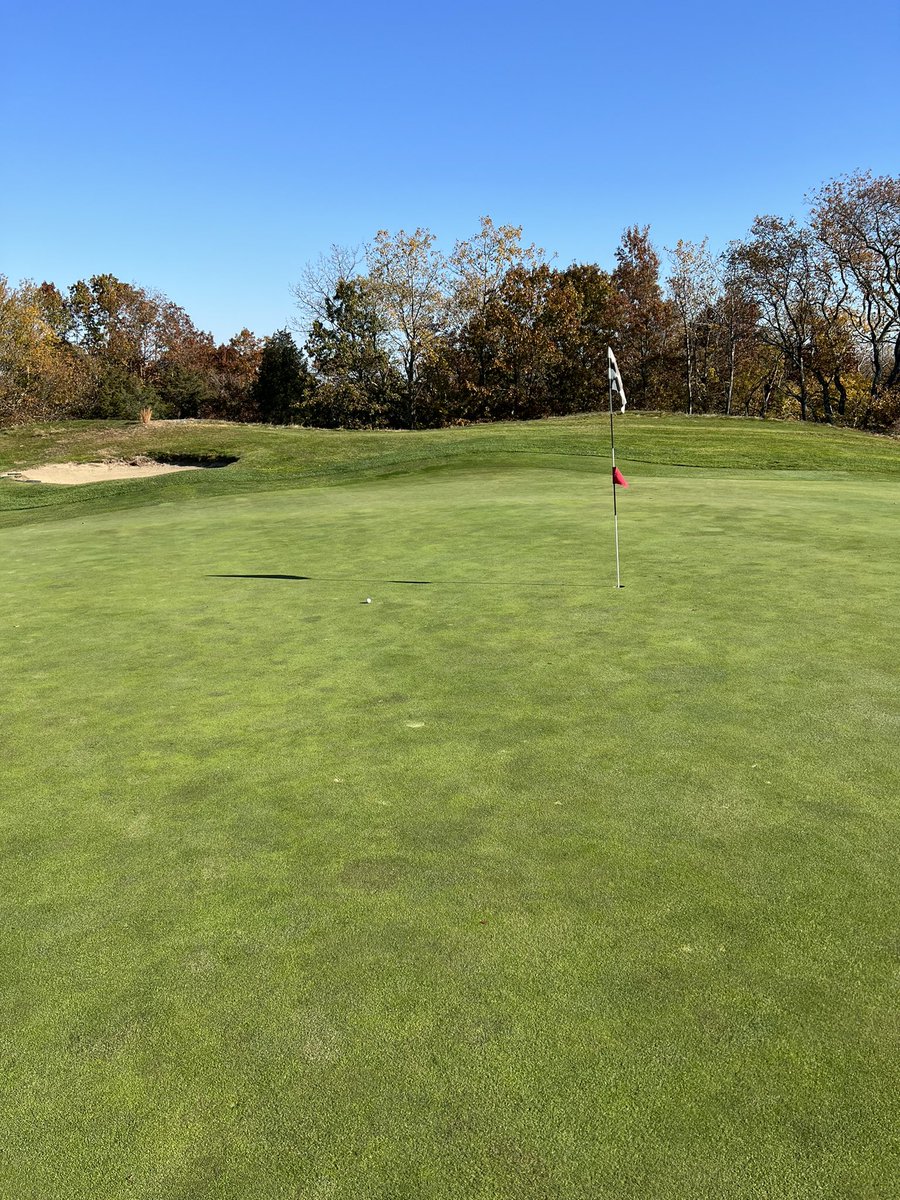 moovinh's tweet photo. #puremovetomodern It’s a Pure “Evergreen day” https://t.co/UdTU4U1uWW