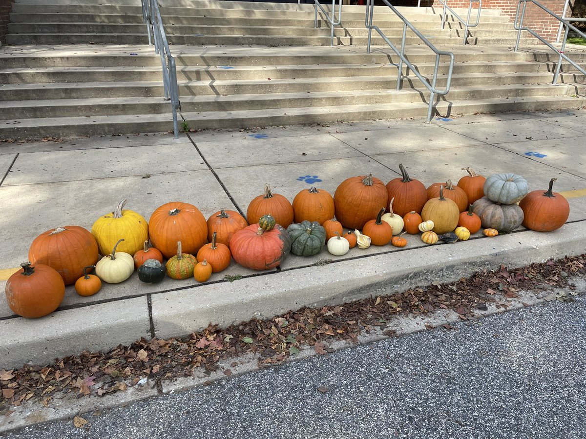 Megan McFadden tweet media