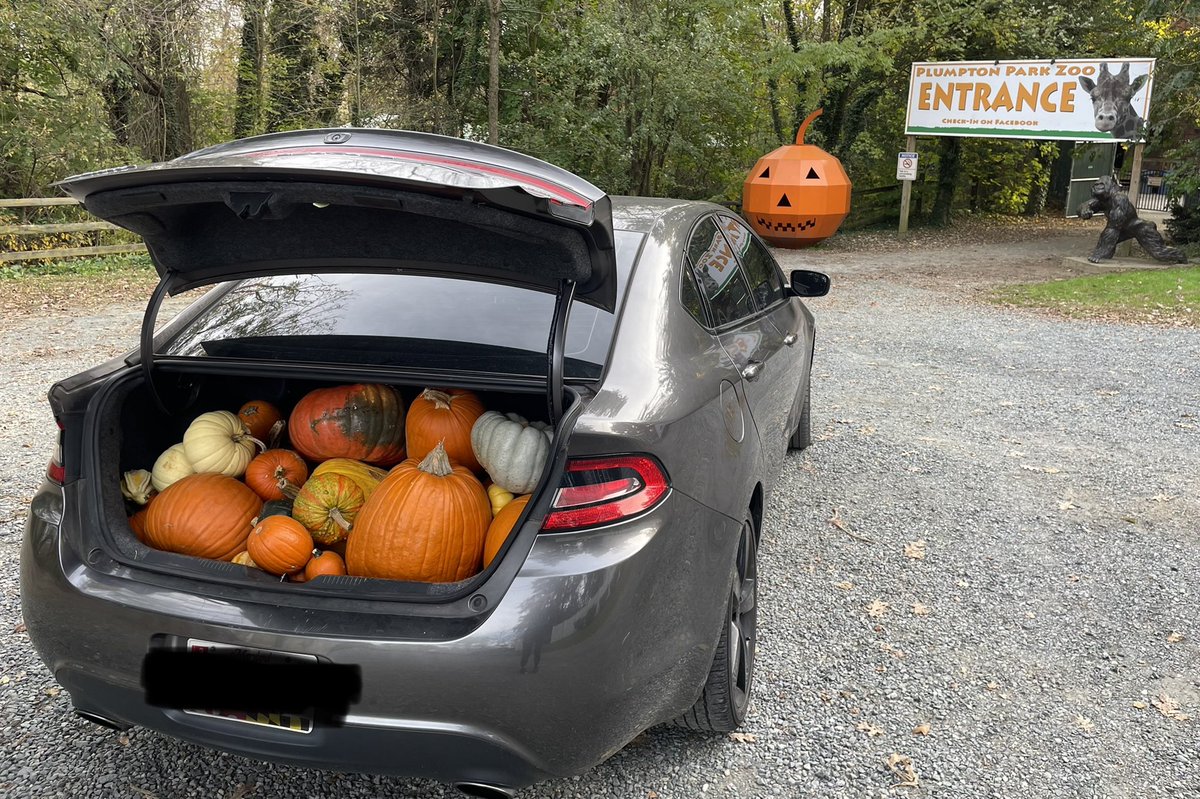 Megan McFadden tweet media