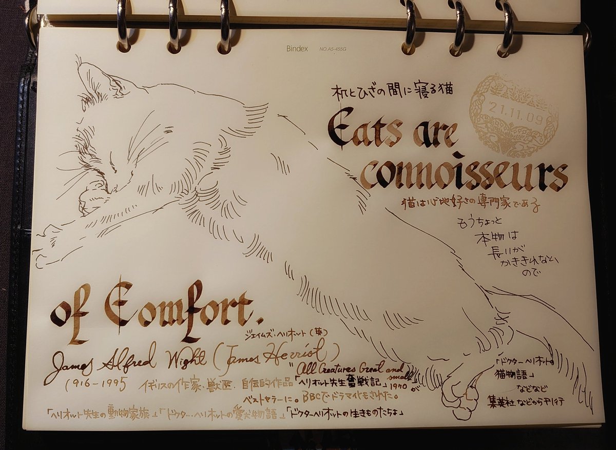 #私的手帳覚書 ガラスペン、くるみインク、万年筆で。#うちの犬猫覚書 #裏花火落書 チマチマかいてみました。A5システム手帳、いい……。能率手帳GOLD用紙リフィルも最高……、期間限定販売らしいから買い足すべき……?描きまくってる…… ガラスペンとくるみインクの相性も最高。ボタ落ちしないの 