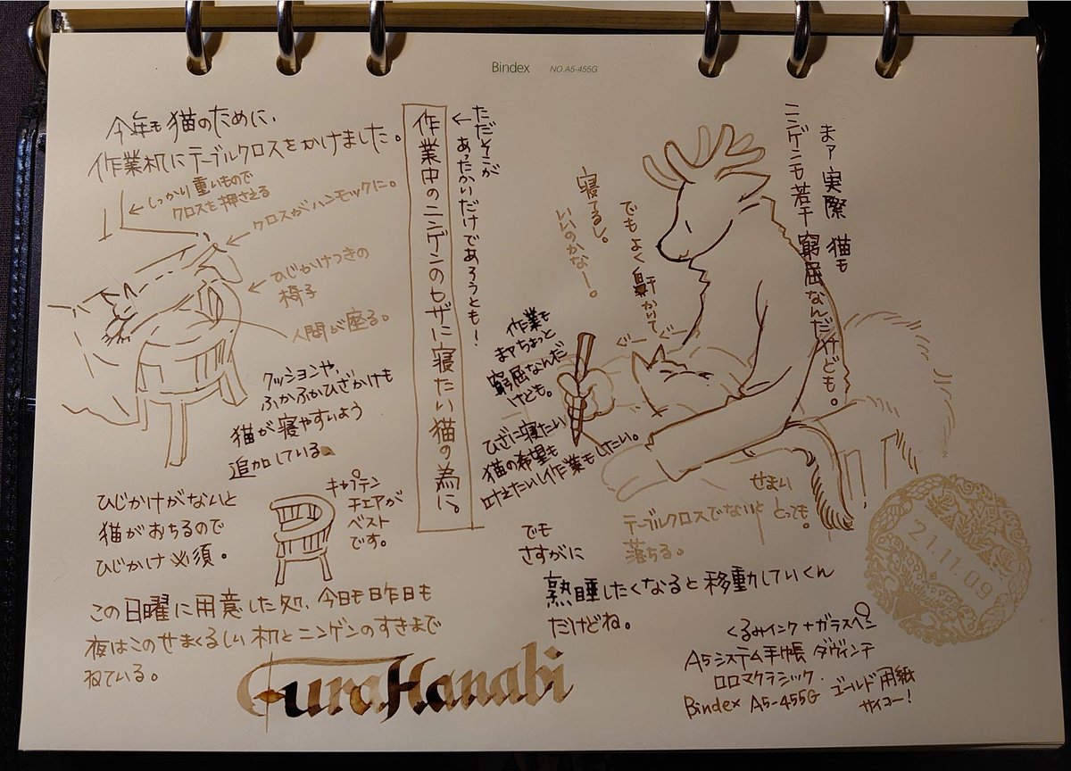 #私的手帳覚書 ガラスペン、くるみインク、万年筆で。#うちの犬猫覚書 #裏花火落書 チマチマかいてみました。A5システム手帳、いい……。能率手帳GOLD用紙リフィルも最高……、期間限定販売らしいから買い足すべき……?描きまくってる…… ガラスペンとくるみインクの相性も最高。ボタ落ちしないの 