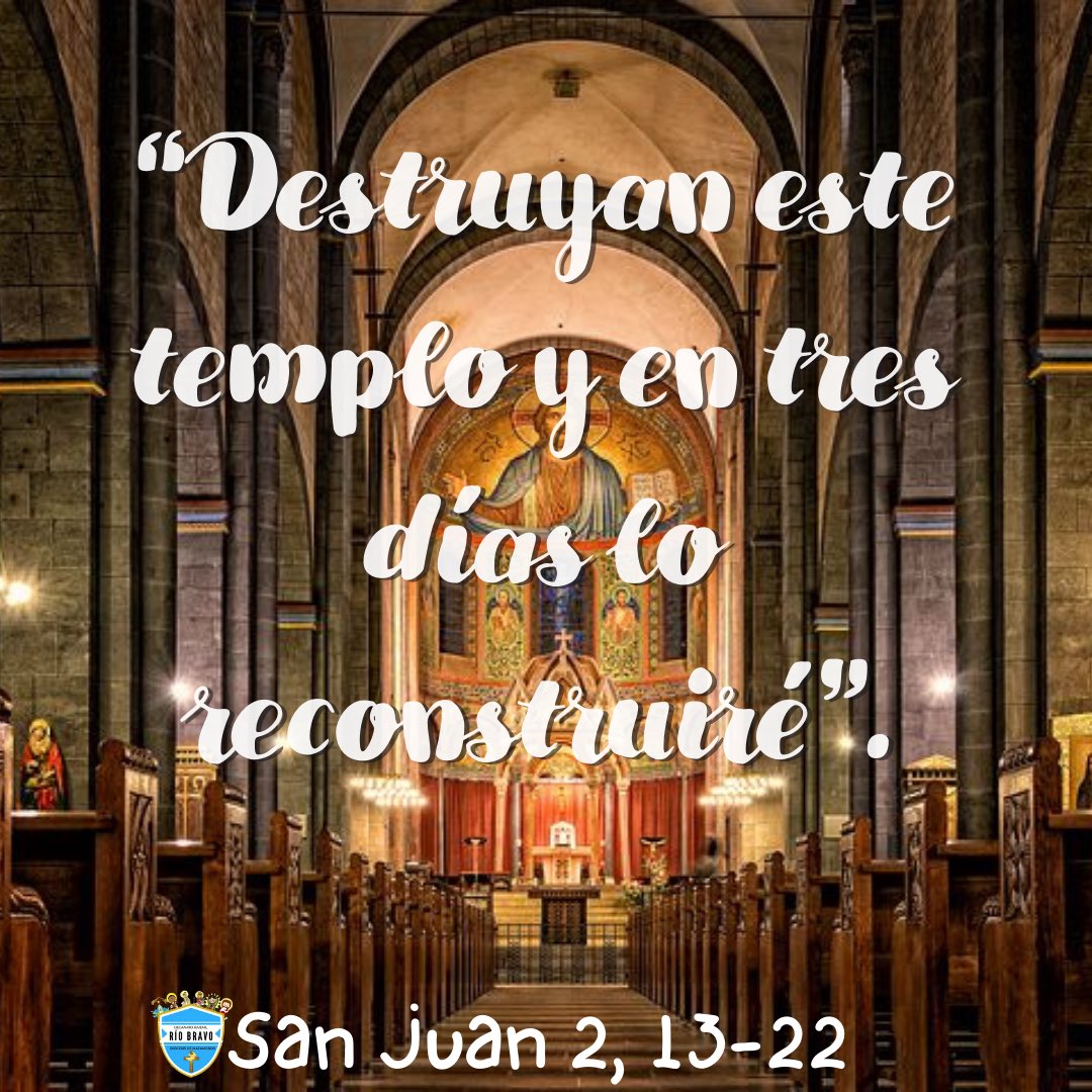 DecanatoJRB's tweet photo. Evangelio del día📌

Lectura del Santo Evangelio según San Juan 2, 13-22

Palabra del Señor, Gloria a Ti Señor Jesús.

#DecanatoJRB⛪️
#EvangelioDiario📖 https://t.co/3VsnI01DbL
