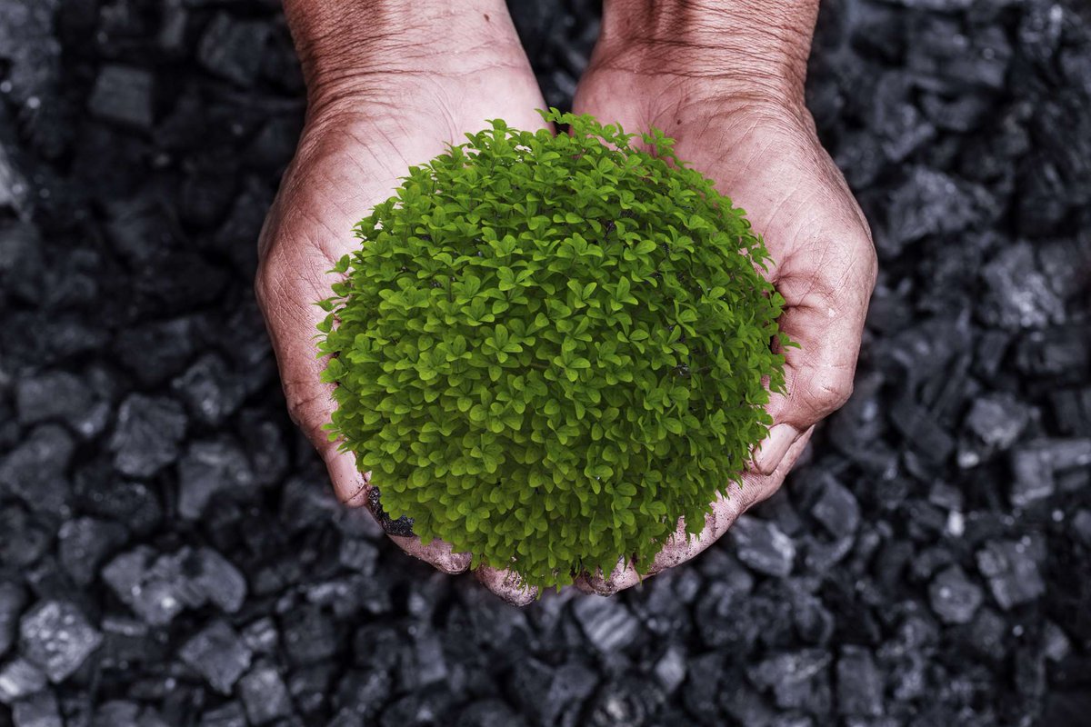 .<a href="/bhp/">BHP</a> has signed a deal that will see it divest up to A$1.8 billion in #metallurgicalcoal assets in Australia, as the world’s largest miner continues its retreat from #fossilfuels #climatechange $BHP ausbn.com.au/2021/11/09/bhp…