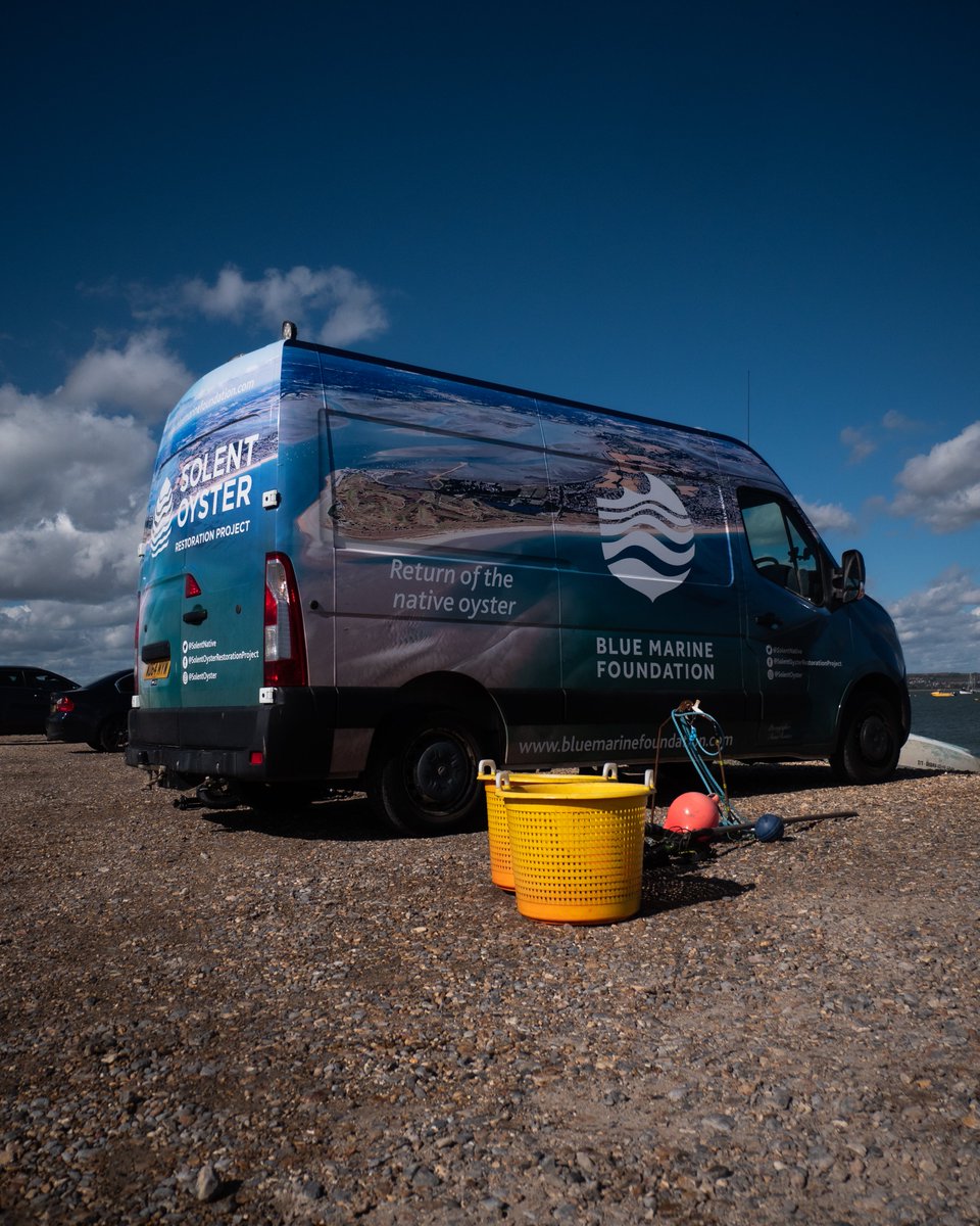 JPrestonDiggles's tweet photo. Tonight on @BBCTheOneShow - the first oyster restoration reef in the Solent led by @Bluemarinef! This is a huge step towards a healthier ecosystem that provides benefits to the environment and coastal community. Looking forward to monitoring the changes #GenerationRestoration https://t.co/YYtX1jQnC0