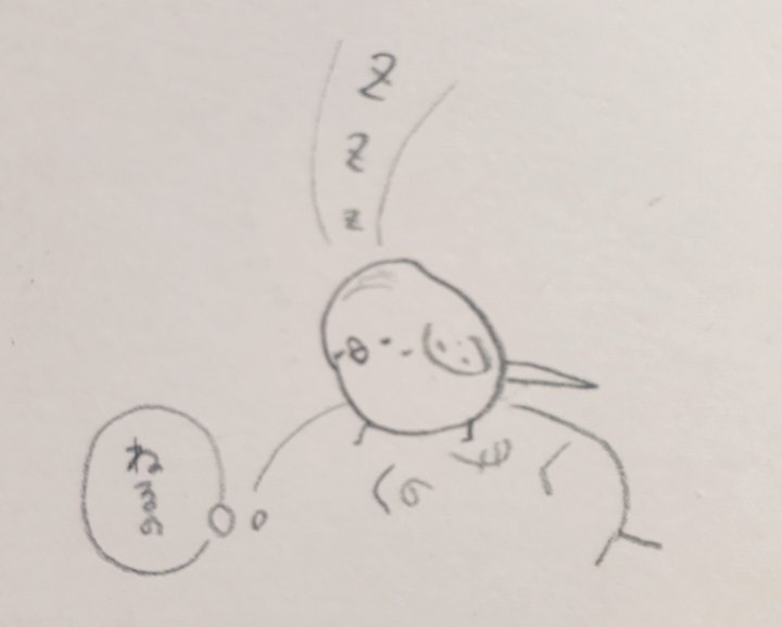 前のぷぃちゃん🍒 