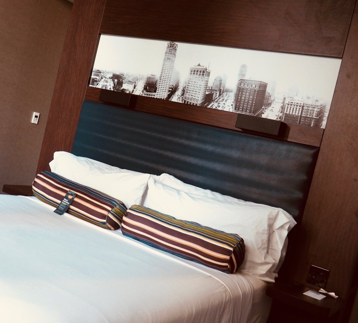 DavidWhitneyDET's tweet image. It hits a little different when you are walking distance to everything you could need. We have a People Mover station here too! 

#detroithotels #traveldetroit #downtowndetroit