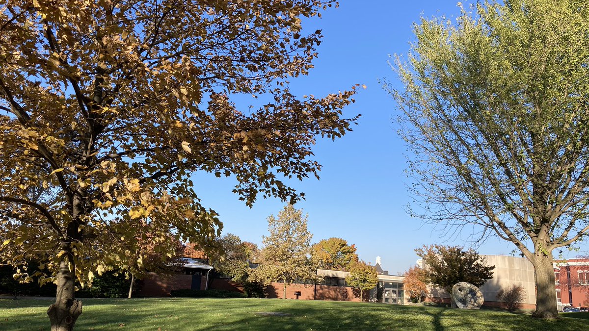 ONUArtandDesign's tweet photo. It’s a beautiful fall day on Ohio Northern’s campus.
.
#onuartanddesign #ohionorthernuniversity #onupolarbears #adaohio #ohionorthern #elzaygallery #wilsonartcenter #fallvibes #fallcolors #beautifulfallday https://t.co/tZZOPzwDey