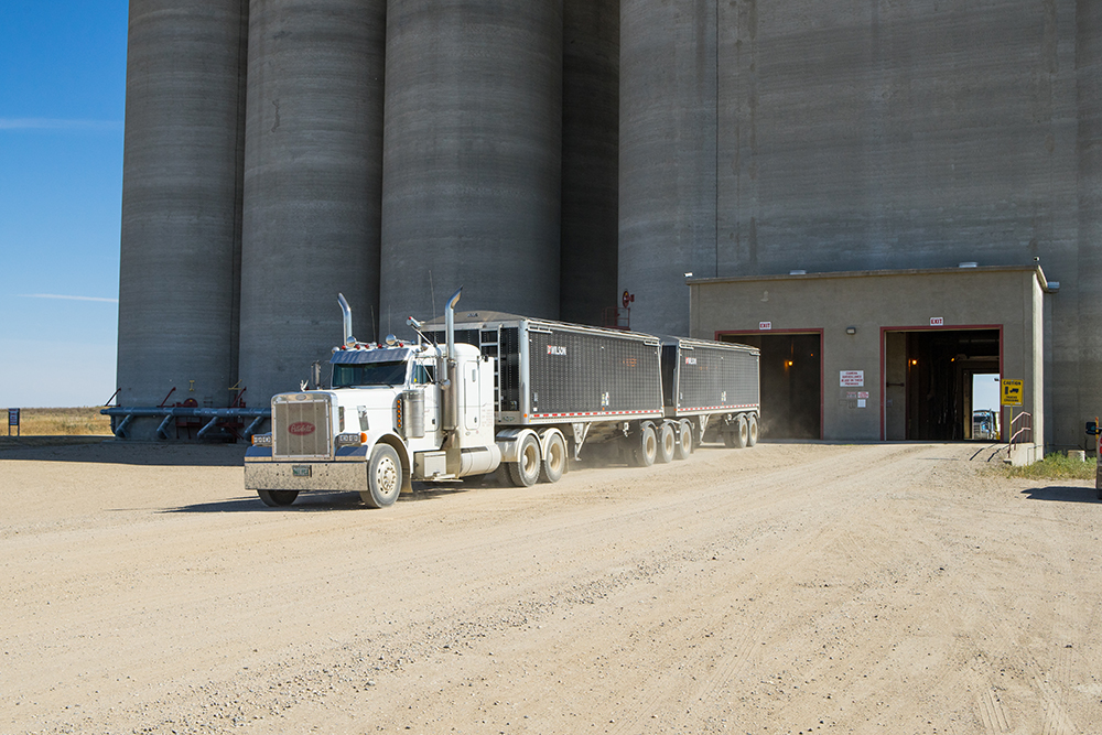 SKTradeInvest's tweet photo. In the first eight months of 2021, Saskatchewan’s agri-food exports have increased 10 per cent by value compared to the same period last year totaling $11.7 billion. #SaskAg #TradeStatTuesday https://t.co/kh1V2n86IW