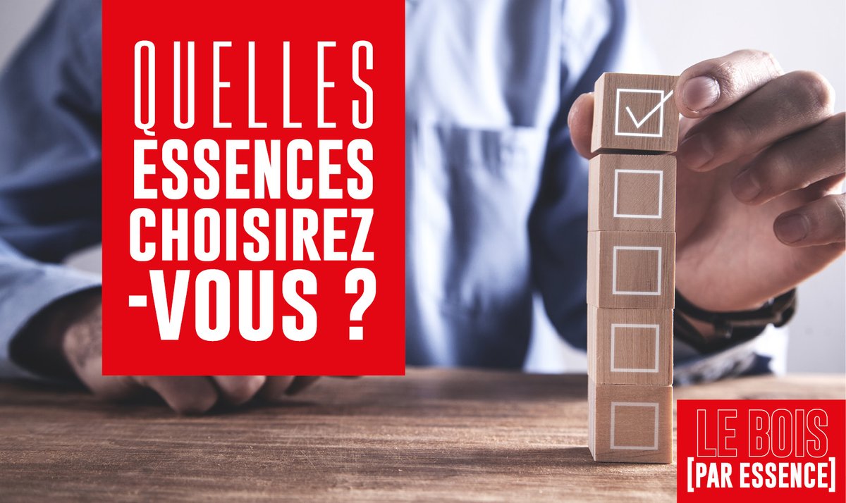 VOTEZ POUR L'ESSENCE BOIS DU MOIS 🌳
#BOISmag reprend la présentation de fiches sur les essences de bois.
Participez à la sélection des bois présentés pour les 3 prochains mois en votant ! - Cliquez sur le lien suivant : forms.gle/qnhkd77R755SZu…

#constructionbois #essencebois