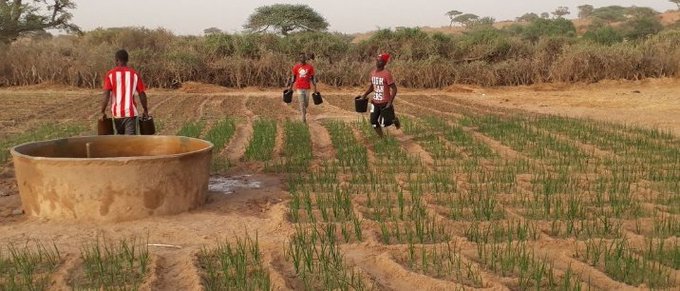 Revitalizing rural economies will require empowerment of youth in agricultural enterprises.