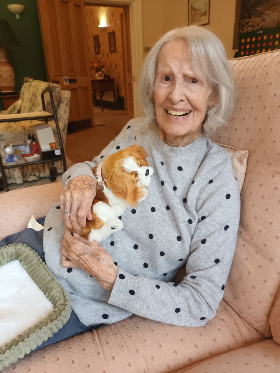 NowtonCourt's tweet photo. @NowtonCourt presented a lovely lady with a dementia therapy dog &amp; just look at the smile on her face - #assistedliving #covidfree 01284 756610 resident of the day 🐕😃👏😀 she called him Charlie @987jude @Samreid333 @LozClar @berkeley_hh @HeritageWellbei https://t.co/DWnOoeuHfR